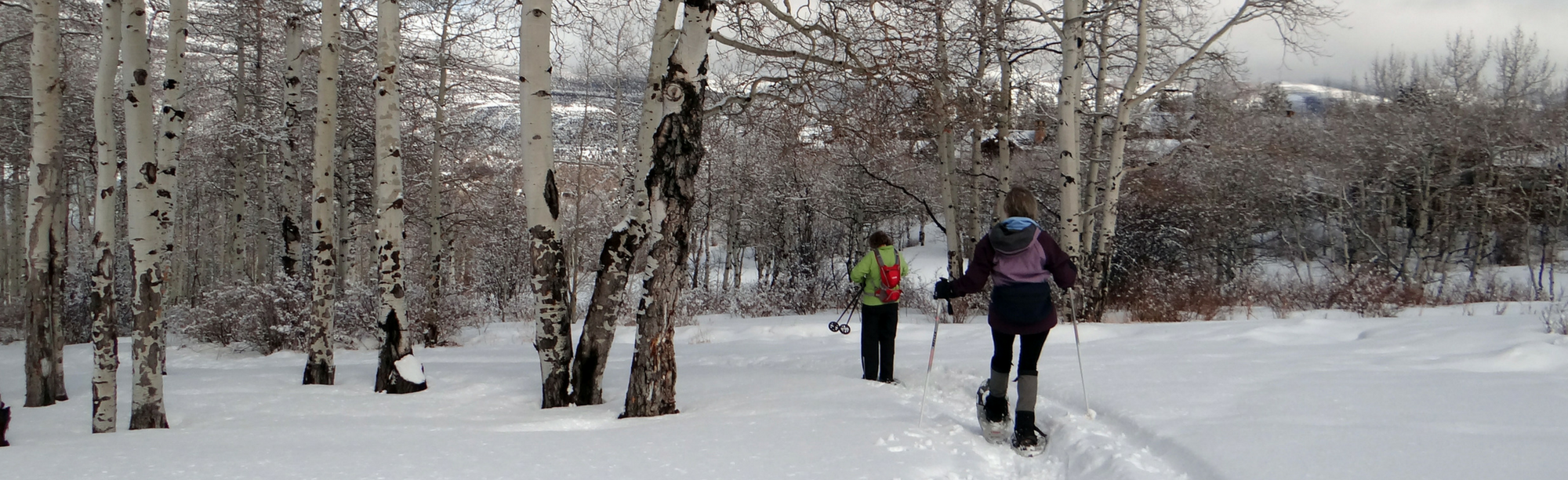 Top 10 Snowshoeing Spots snowshoeing 1 Top 10 Snowshoeing Spots