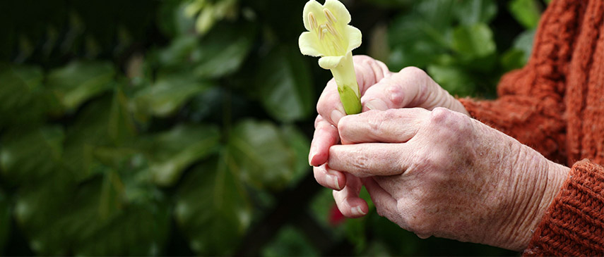 Natural Ways to Relieve Arthritis Pain
