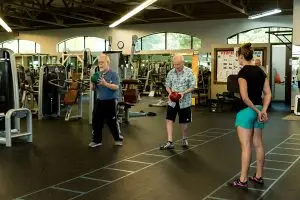 wellness + longevity programs